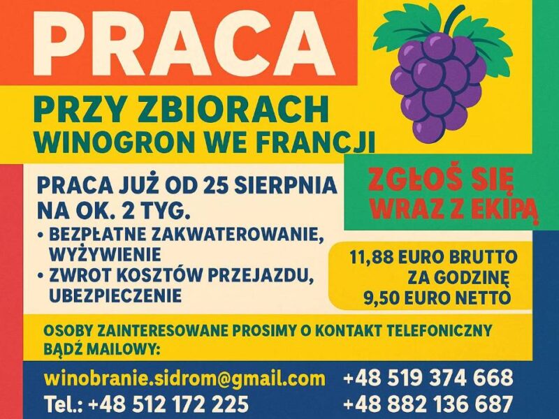 WINOBRANIE FRANCJA